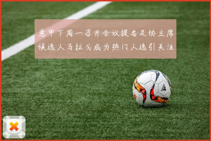 意甲下周一召开会议提名足协主席候选人马拉戈成为热门人选引关注